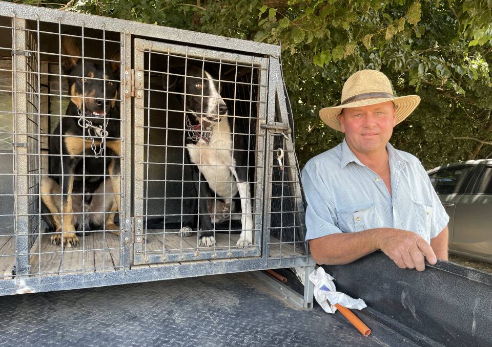 MATESHIP: Culcairn farmer Peter Govan says he will organise another working dog trial in may this year to bring the community together again. Picture: VICTORIA ELLIS