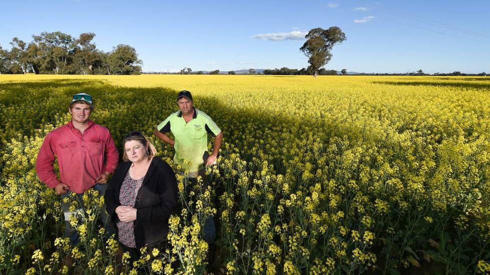 NOT HERE: Sharon and Stephen Feuerherdt, with their son Josh, own property near Culcairn, which neighbours a 400MW solar farm site.