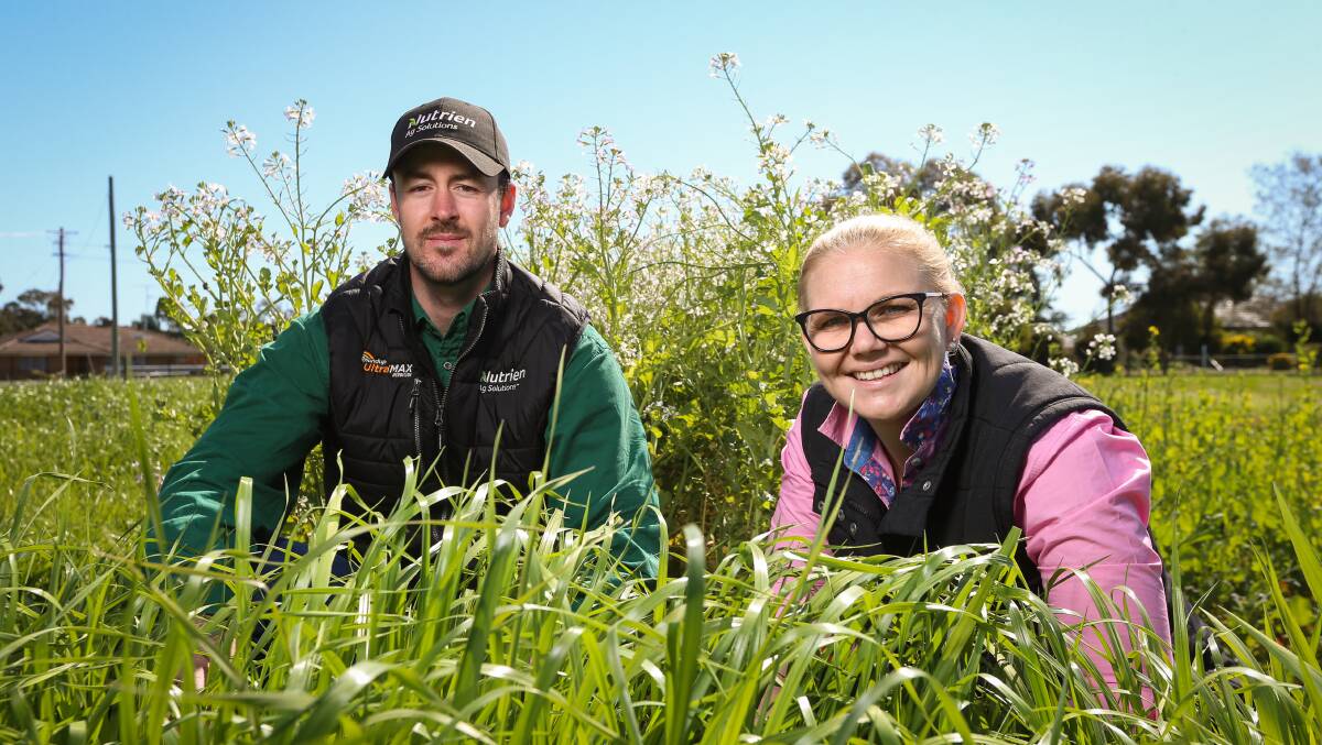 LEARNING TOOL: St Paul's College agriculture teacher Courtney Hutchings and Nurtien Ag Solutions agronomist Alex Tier in the pasture trial plot at the school farm. Pictures: JAMES WILTSHIRE