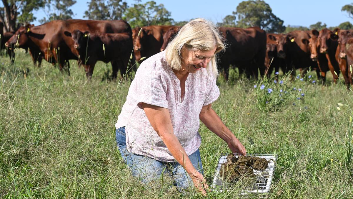 Busy beetles will get the job dung at Gerogery cattle farm