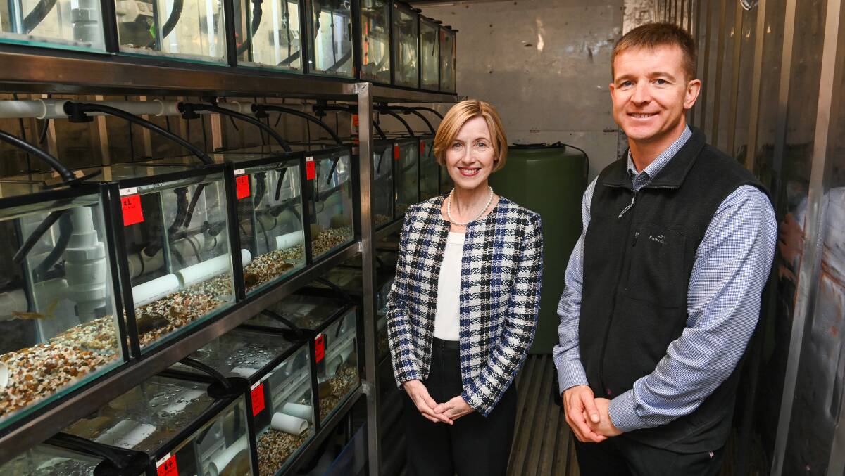 INSTITUTE UNVEILED: Charles Sturt University Vice-Chancellor Professor Renee Leon and Interim executive director of the Gulbali Institute for Agriculture, Water and Environment Professor Lee Baumgartner in a temperature controlled space with Stocky Galaxia, an endangered fish. Picture: MARK JESSER