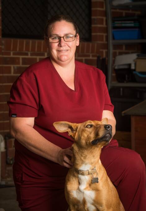 GIVING BACK: Fundraiser coordinator Casey Bingham is raising money through her small business to help supply the Albury Wodonga Animal Rescue hub in Lavington. Picture: MARK JESSER