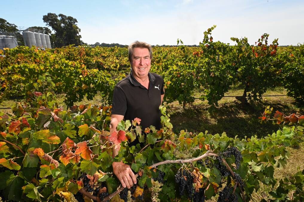 MORE SKILLS: Buller Wines CEO Michael Murtagh is looking out for new talent to join his winery in Rutherglen. Picture: MARK JESSER