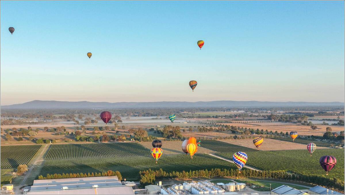 MAGNIFICENT: Balloons hovered above the Brown Brothers Milawa airfield. Picture: SUPPLIED