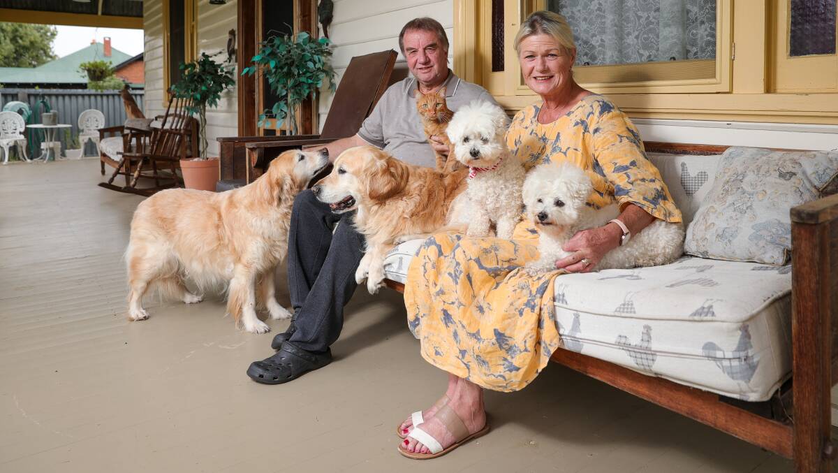 HOME FOR NOW: Ollie and Tillie and Red the cat settle in with Graeme Higgs and Shelley Bird and their two dogs, Justice and Willow. Picture: JAMES WILTSHIRE
