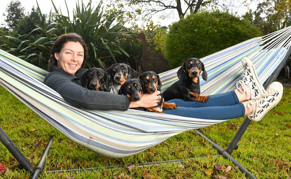 FAMILY: Suzanne McIntosh who owns five puppies. She is pictured with Trevor, Stanley, Lexie, Stella and Henry. Pictures: MARK JESSER