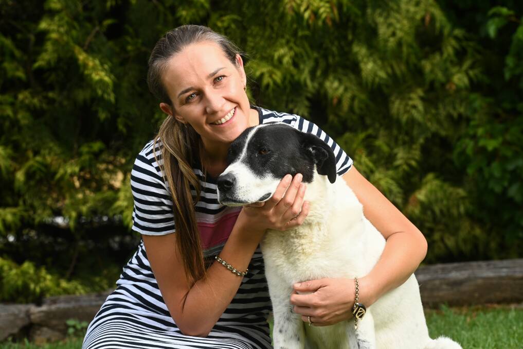 Heidi Josipovic and her winning dog Stanley, who now holds the world record for most consecutive items caught by a dog. Ms Josipovic says his family "are very impressed and proud" of his efforts. Picture by Mark Jesser