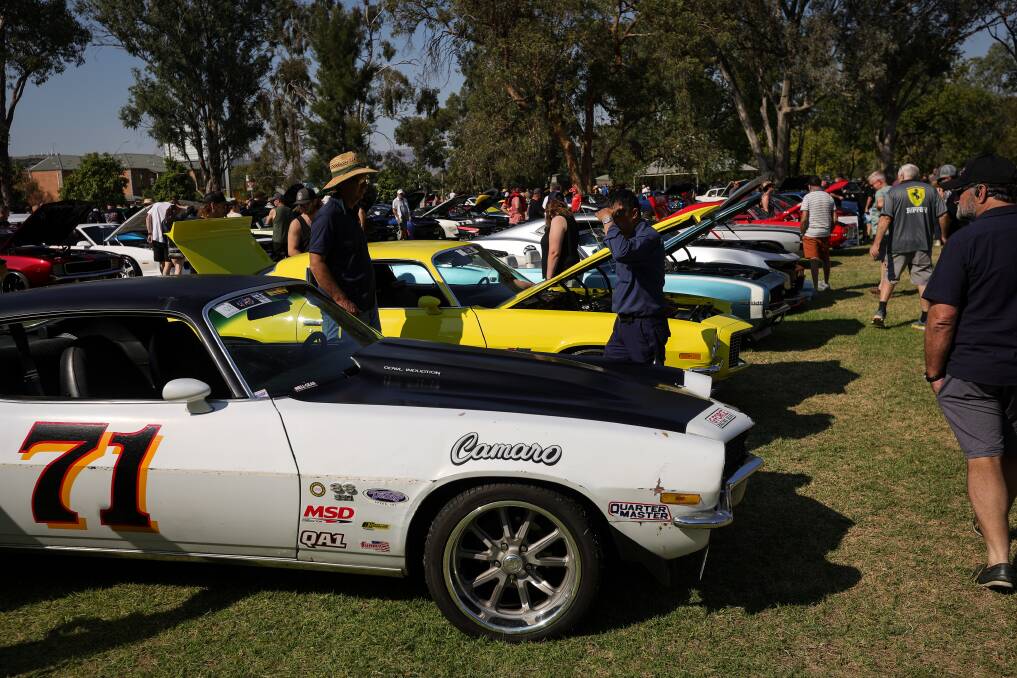 Warm weather conditions provided the ideal backdrop for Camaro and Firebird lovers from across Australia to gather and showcase their beloved vehicles in Albury. Picture by James Wiltshire. 