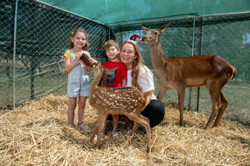 Lilly Gordon, 5, and Theodore Tresize, 4, with Rachel Alexander, Bon Bon and Tinsel. The children were very excited to feed the deer. Picture by Tara Trewhella