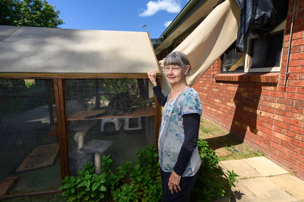 Maureen Cooper built her cat house three years ago so her beloved moggies - two of which were formerly feral - could get a daily or nightly taste of life outdoors without roaming beyond her property boundary. Picture by Mark Jesser