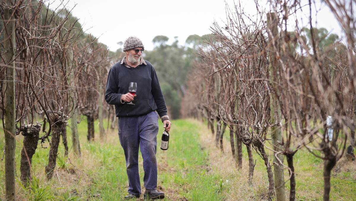 HANDS-ON: Barry Morey is more comfortable among the grape vines than in the confines of a cellar door. Picture: JAMES WILTSHIRE