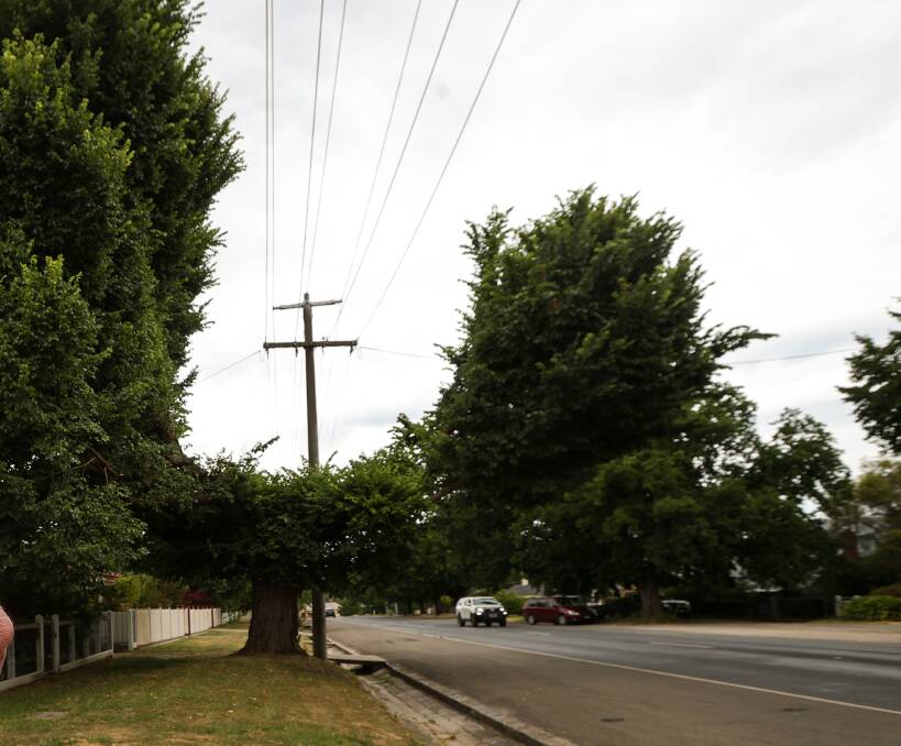 Weird Beechworth tree chops: Safety overrides good looks, says council