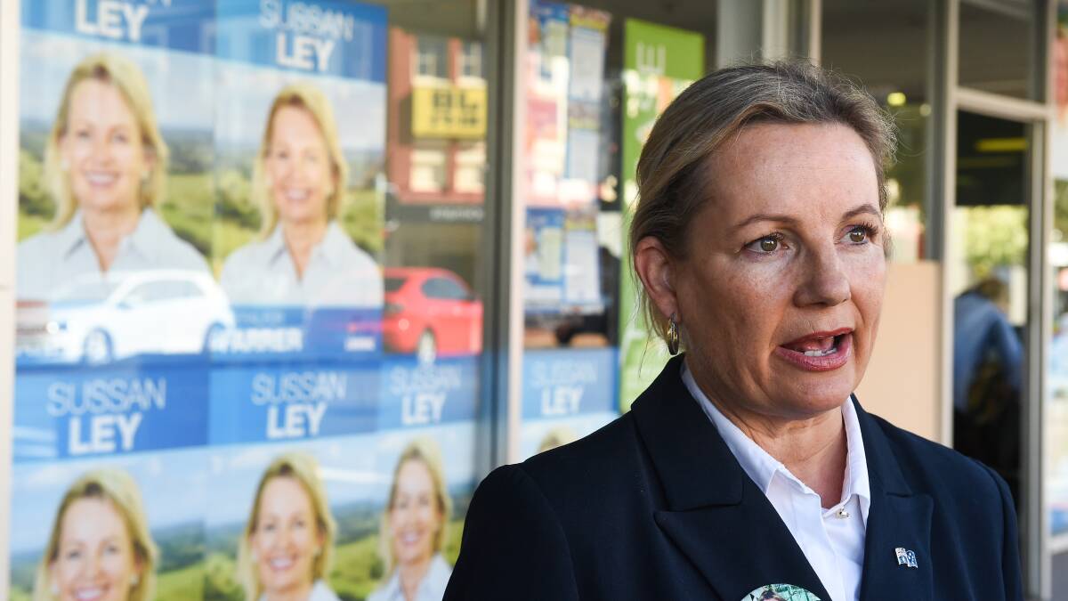 Member for Farrer and deputy Liberal Party leader Sussan Ley. Picture by Mark Jesser