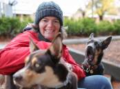 Resi Tomat, pictured with Coco and Willow, has faced an uphill battle to keep her canine farm stay business afloat. Picture: JAMES WILTSHIRE