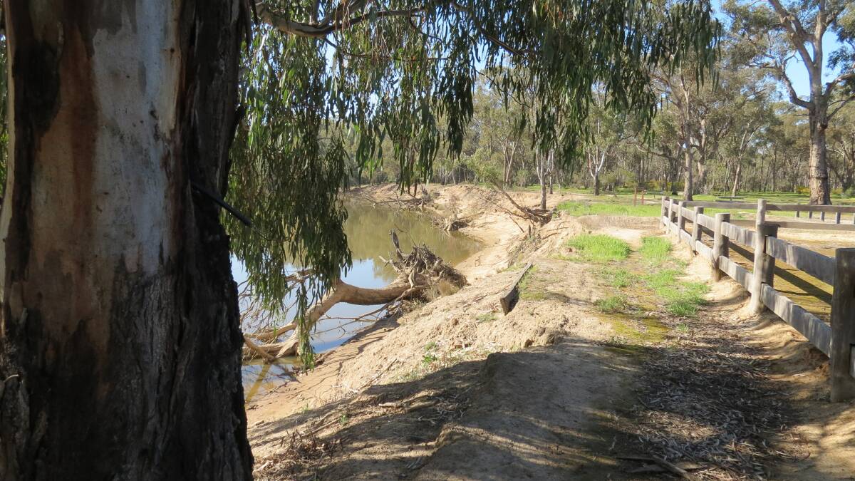 The eroded Murray River bank 6.5 kilometres northeast of the town of Gunbower in 2020. Picture by Lloyd Polkinghorne