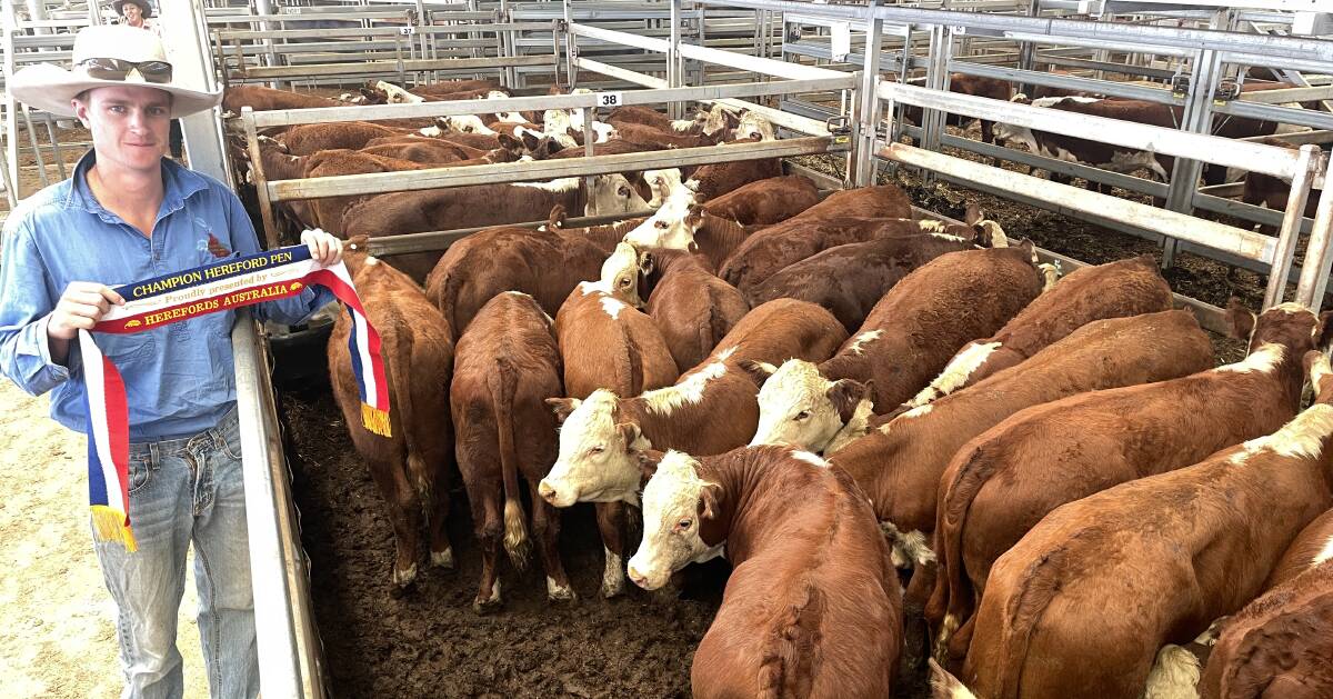 Tom Sleigh, Sleigh Pastoral, Jerilderie, was awarded best presented pen of Herefords for 22 Hereford steers, 360kg, with Bayunga blood, which sold for $1100 a head at Wodonga on Friday. Picture by Alexandra Bernard. 