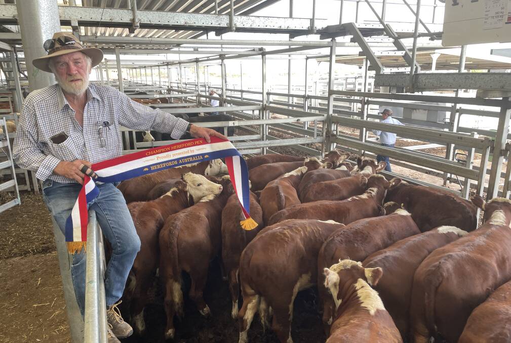 The best presented pen of Herefords went to David Trethowan, Cookardinia, for his pen of 50 Hereford steers, 382kg, with Wentworth blood, which sold for $1205 a head at Wodonga on Thursday. Photo by Alexandra Bernard.