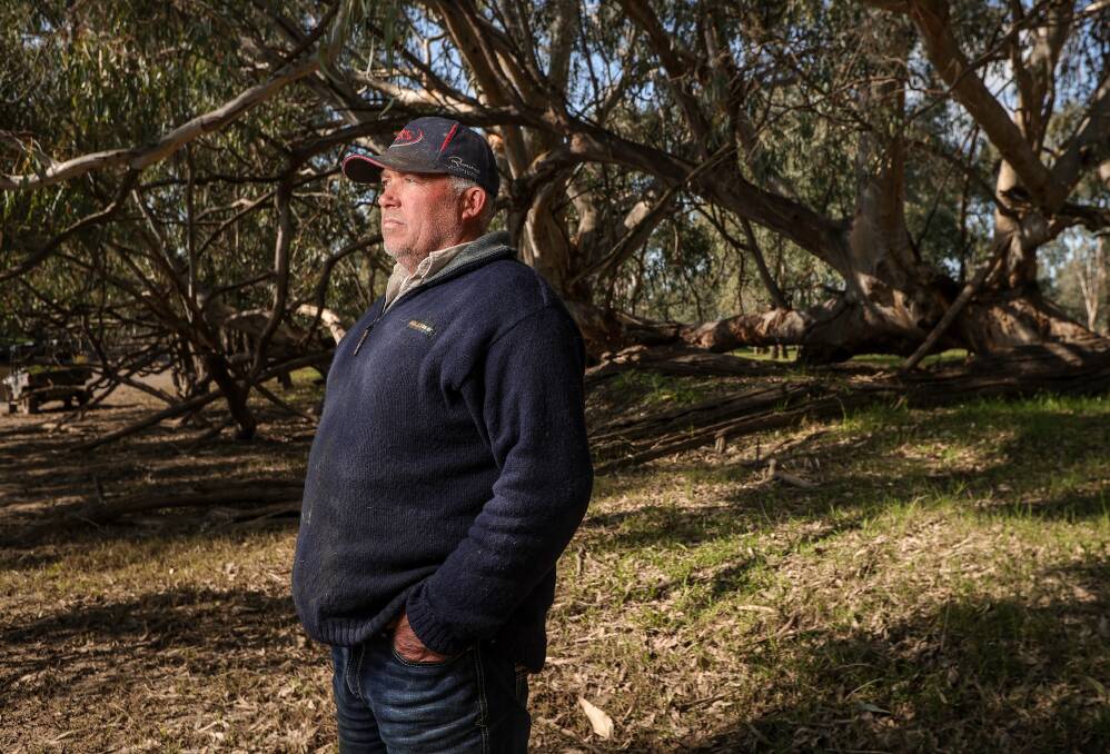 Bungowannah beef farmer Andrew Watson believes the Australian consumer is getting "ripped off" when it comes to the price of meat at supermarkets. Picture by James Wiltshire
