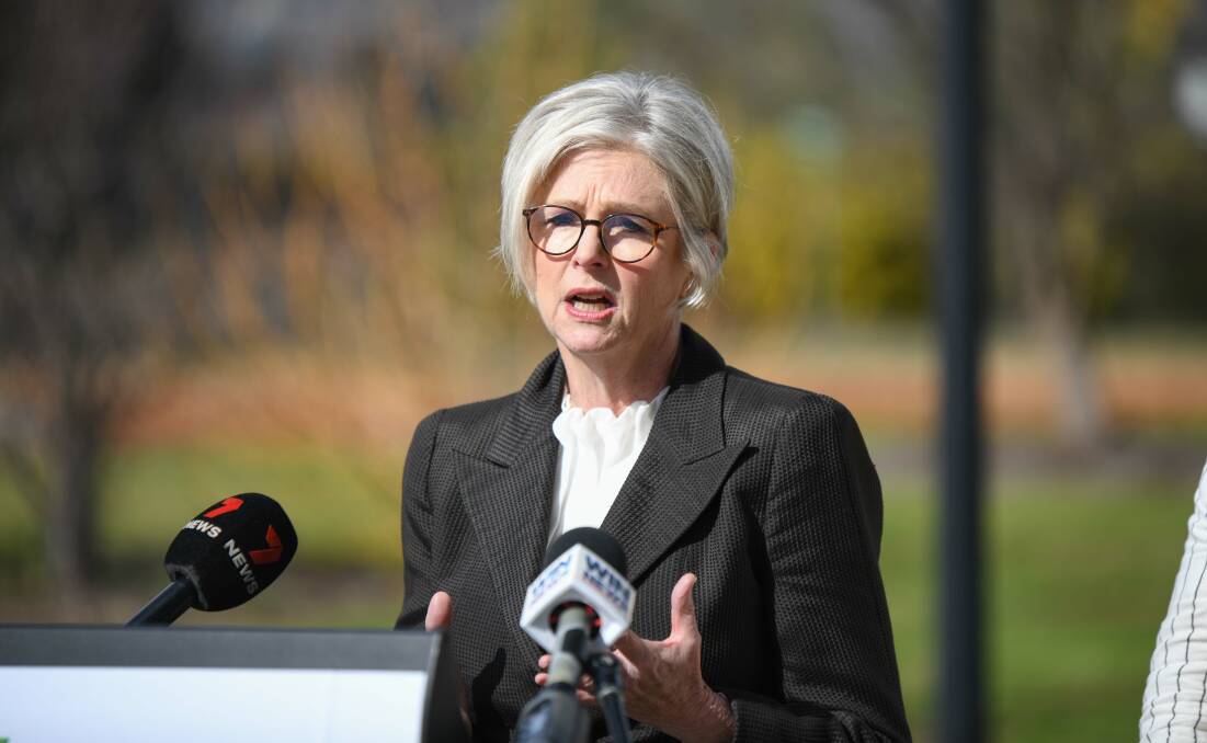Indi MP Helen Haines speaking at a press conference in Barnawartha in August 2023. Picture by Tara Trewhella