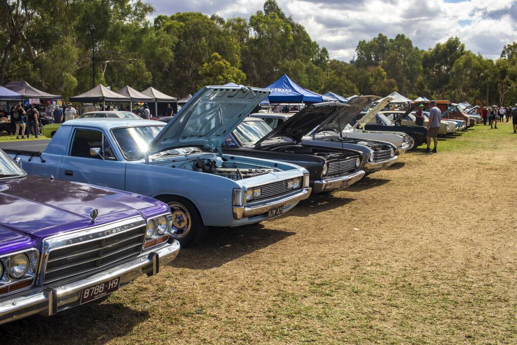 The 31st Chryslers on the Murray showcased 931 cars from across Australia. Picture by Layton Holley