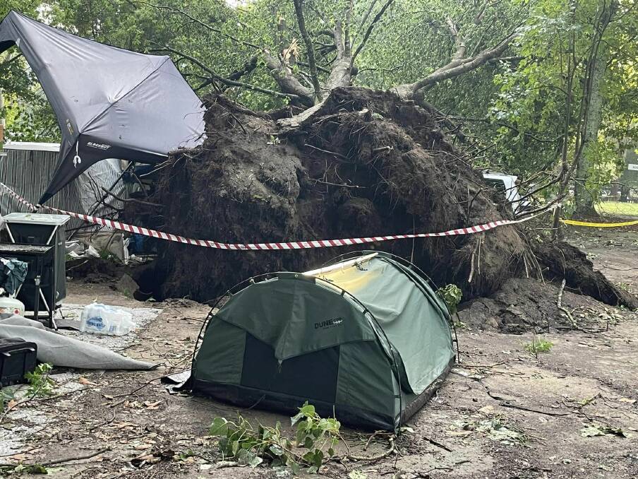 A tree ripped from its roots at Tawonga Caravan Park. Picture supplied
