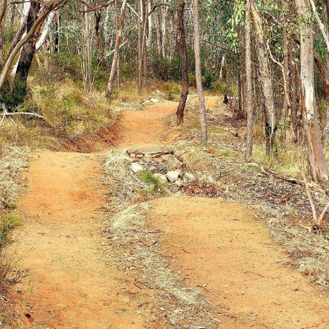 Nail Can Hill's mountain bike network has had a major redevelopment. Picture supplied