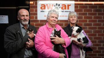 Kevin Smith with Delilah, Rae Smith with Sassy and Lorraine Webb with Chase are calling out to the Border community to assist them in finding a new home for Albury Wodonga Animal Rescue. Picture by James Wiltshire