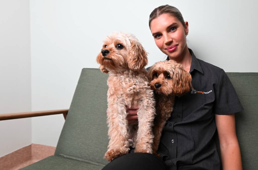 Family Vet Centre staff including Dr Brigitte Murphy, pictured with dogs Oake and Hank, are urging those in the North East to remain vigilant of leptospirosis. Picture by Mark Jesser
