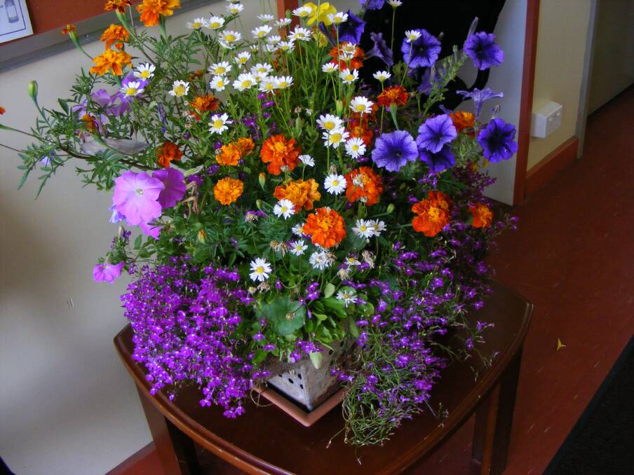 ALL THINGS BRIGHT: Plants make wonderful table decorations. This basket of bedding plants is bursting at the seams with colour including petunias, lobelia and the bright and cheery orange marigolds.
