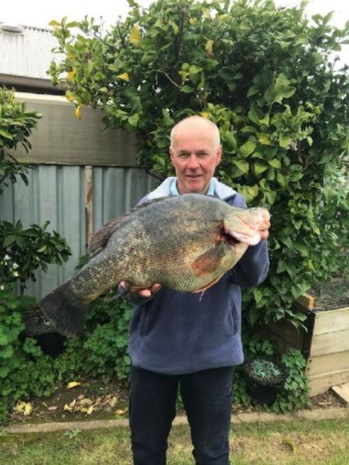 WHAT A WHOPPER: Gary Cumming caught this massive 10lb 8oz yellowbelly on a scrubworm at Lake Hume. It seems no matter where you drop a line, there's a fish on the end of it. Picture: Supplied