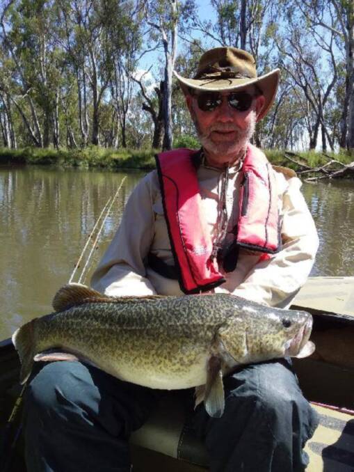 SETTING THE STANDARD: Wodonga fishing icon Norm Jones with a 66cm, 8lb 12oz Murray Cod caught in the Ovens river this week. Cod numbers are down but there are some to be had.