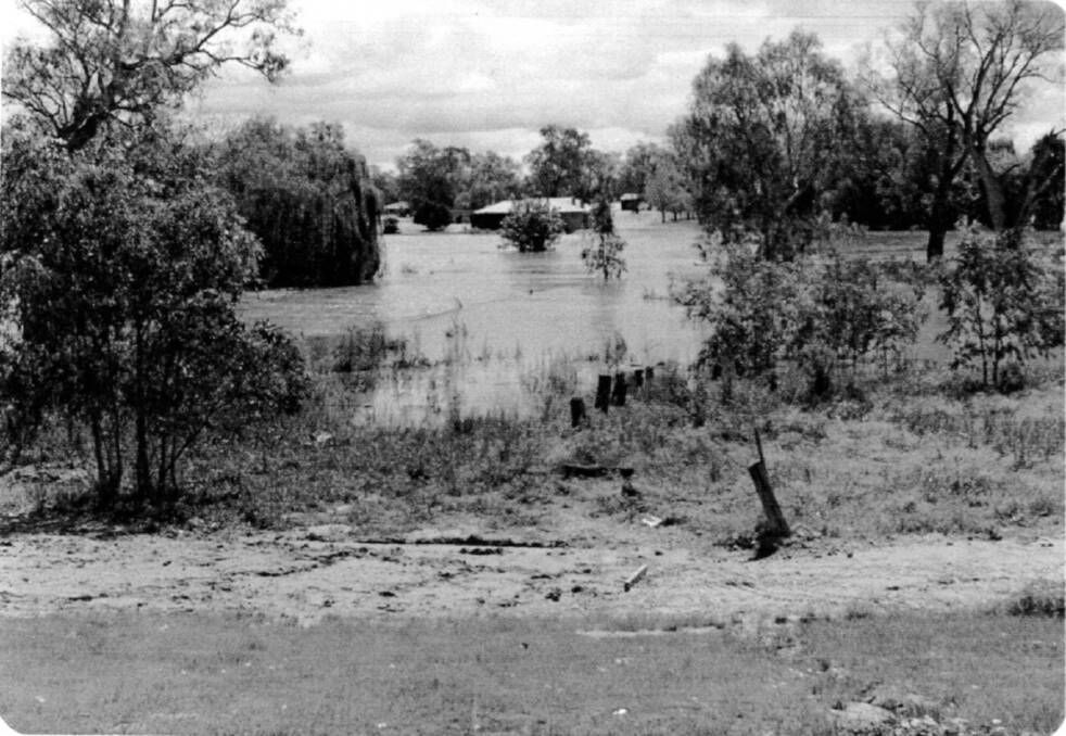 WATER HAZARD: The Wodonga Golf Club clubhouse, built in 1946, is pictured here during floods on Belvoir Park in 1974. The club initially had some stiff competition for the site from the local cows.