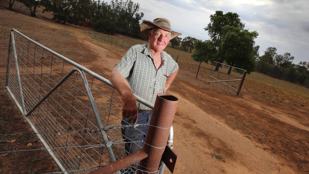 OPTIONS: NSW Farmers, Wagga and District Branch Chairman Alan Brown. Picture: Les Smith