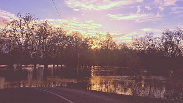 PHOTO OF THE DAY: @ashbetteridge "Flood waters at Nouriel. #albury #alburyfloods"
