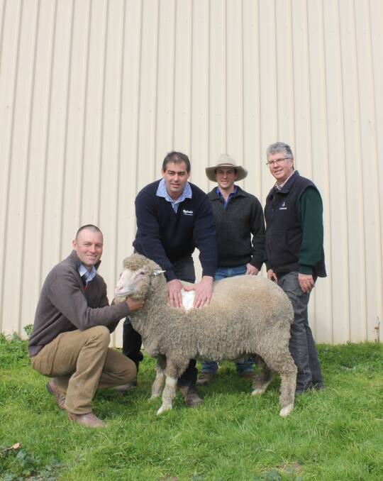 TOPS: Simon Riddle and Phil Toland, Toland Poll Merinos, Jarrod Demarco, Rodwells, and Tim Cavill, Fox Pastoral, with last year's top-priced ram. Pictures: LAURA GRIFFIN