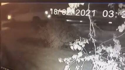 The theft was caught on CCTV. Picture: Contributed