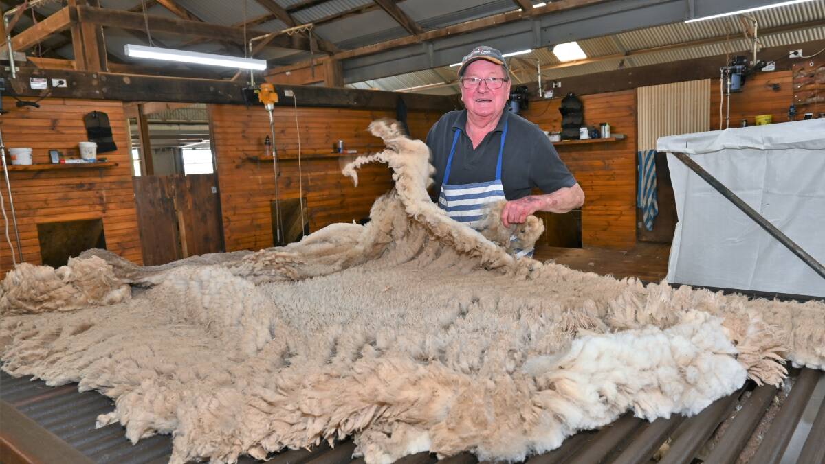 KEEN EYE: Peter Stoll is gearing up for a hectic shearing season. Picture: Kenji Sato