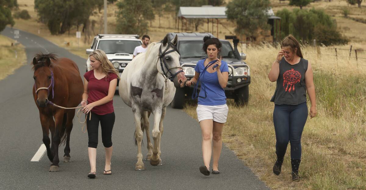 Lory Blundell, Katrina Cook and Emma Campbell walked their horses from Leneva, one of several areas evacuated. Picture: ELENOR TEDENBORG