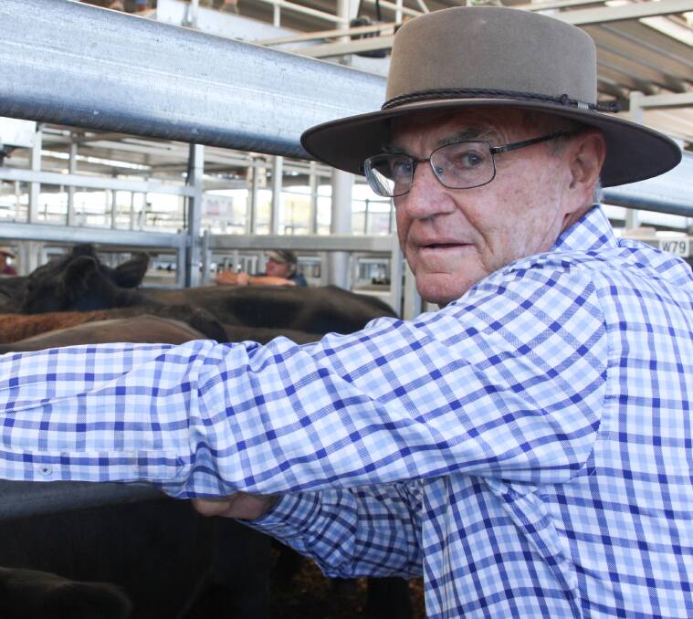 INTERESTED: Retired banker Arthur Warrell travelled down from Wagga just to have a look at the first day of the sales.