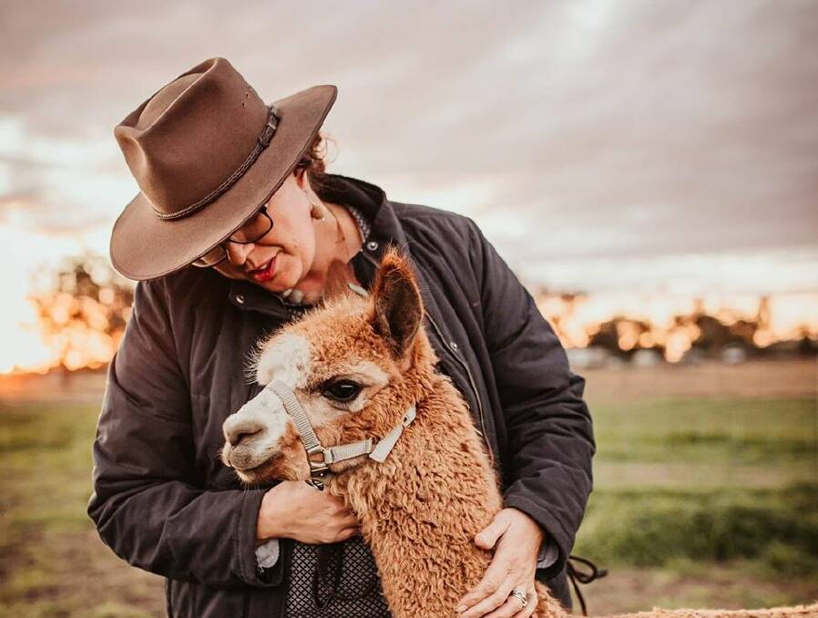 The farm provides more then just an alpaca experience. 
