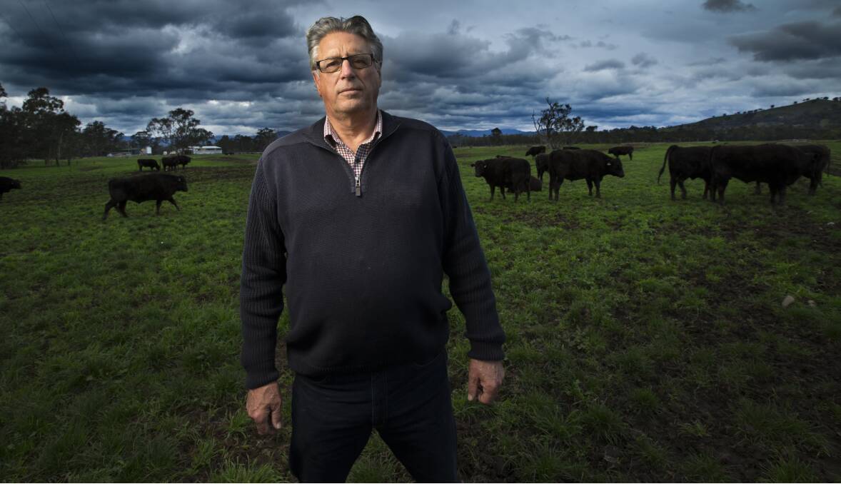 NEW VENTURE: Renowned Wagyu producer David Blackmore is setting up a new venture, using European heritage breed cattle, at Benalla.