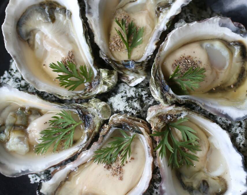 The world's best oysters, on our doorstep