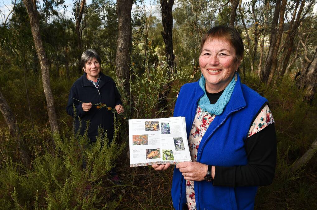 THE BLOCK: Horticulturalist and co-author of Garden Guide for Albury Wodonga Sue Brunskill, pictured with Glenda Datson, will host a free workshop Life on a New Block.