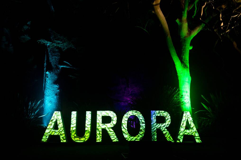 Aurora Luna Light Journey.