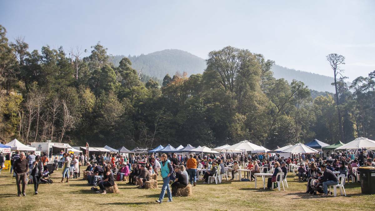 The 20th Wandiligong Nut Festival celebrates local growers and the end of harvest.