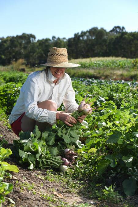 RAD Growers is harvesting a bounty this autumn to offer at Albury Wodonga Farmers Market.