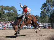 Hold your horses, the Man From Snowy River Bush Festival returns to Corryong this weekend.