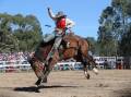 Hold your horses, the Man From Snowy River Bush Festival returns to Corryong this weekend.