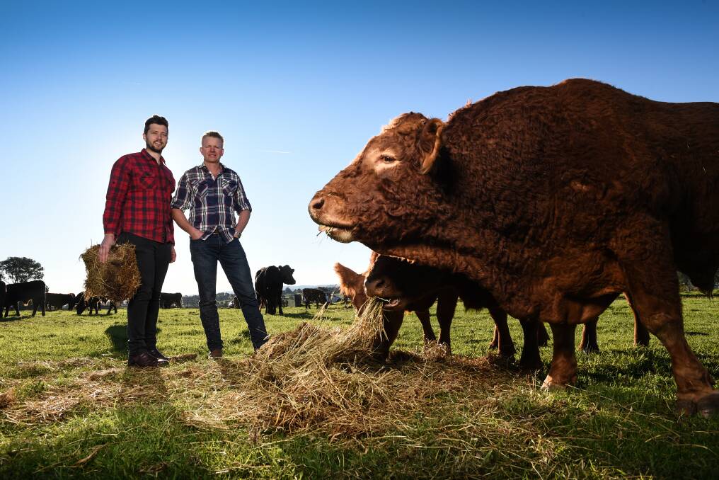 GROWTH AREA: Sam Marwood and Tim Hicks want to speak to Border farmers about a new model for succession planning, which allows retirees a stake in the farm and young farmers a farm of their own.  Picture: MARK JESSER