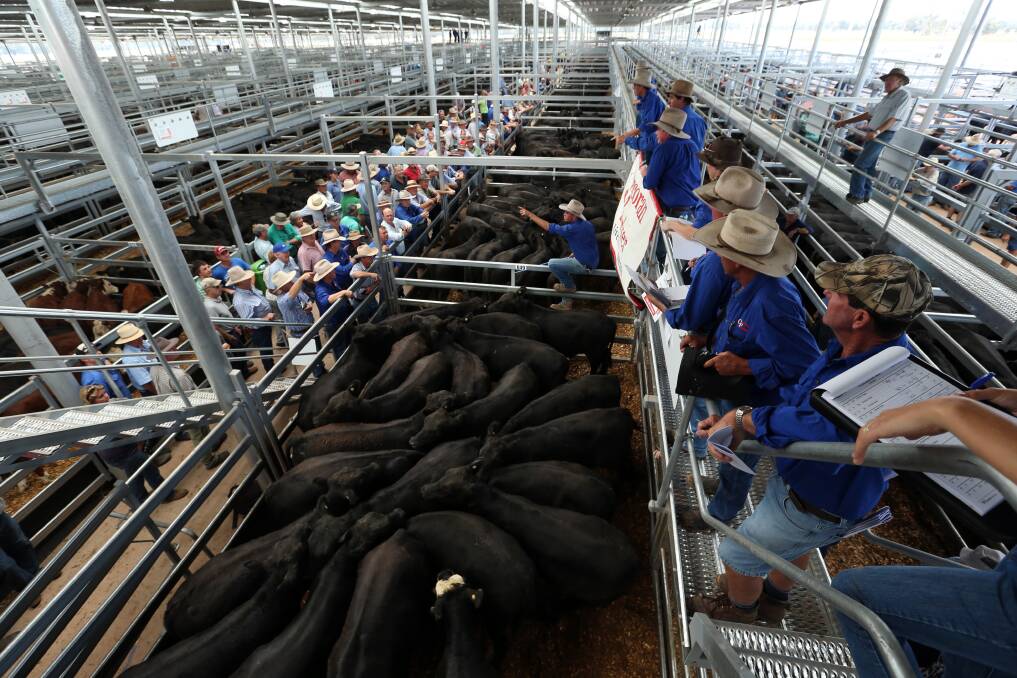 Border and North East saleyards take stock in response to COVID-19 crisis